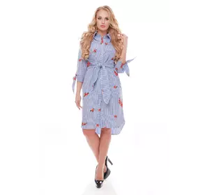 Платье рубашечного типа Эвита с вышивкой голубая полоска